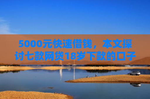 5000元快速借钱，本文探讨七款网贷18岁下款的口子