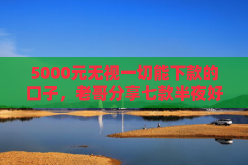 5000元无视一切能下款的口子，老哥分享七款半夜好下款的网贷口子