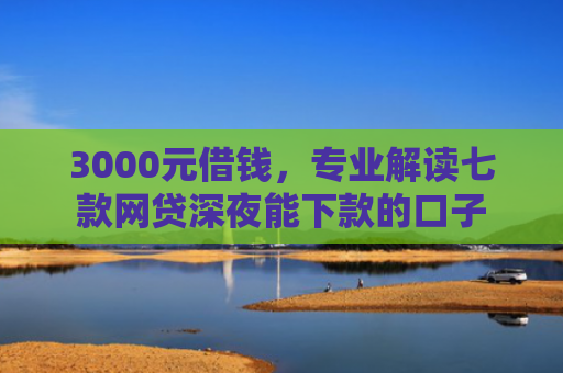 3000元借钱，专业解读七款网贷深夜能下款的口子