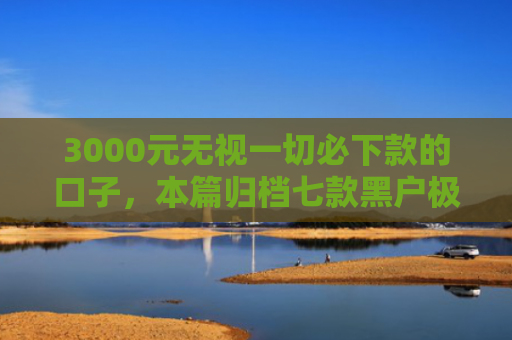 3000元无视一切必下款的口子，本篇归档七款黑户极速下款的网贷口子