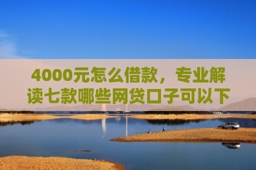 4000元怎么借款，专业解读七款哪些网贷口子可以下款