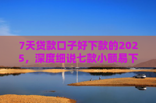 7天贷款口子好下款的2025，深度细说七款小额易下款的网贷口子