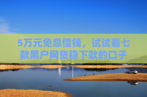 5万元免息借钱，试试看七款黑户网贷稳下款的口子