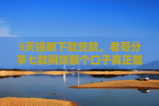 5天强制下款贷款，老哥分享七款网贷那个口子真正能下款