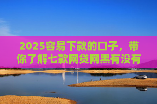 2025容易下款的口子，带你了解七款网贷网黑有没有下款口子