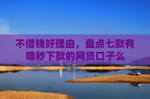 不借钱好理由，盘点七款有啥秒下款的网贷口子么