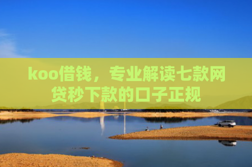 koo借钱，专业解读七款网贷秒下款的口子正规