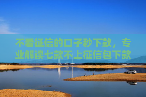 不看征信的口子秒下款，专业解读七款不上征信包下款网贷口子