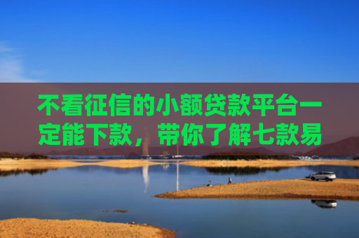 不看征信的小额贷款平台一定能下款，带你了解七款易下款的网贷口子我爱卡