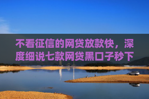 不看征信的网贷放款快，深度细说七款网贷黑口子秒下款app2025