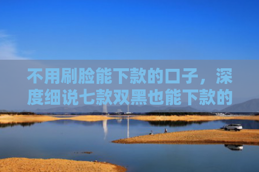 不用刷脸能下款的口子，深度细说七款双黑也能下款的网贷口子