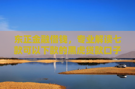 东正金融借钱，专业解读七款可以下款的黑虎贷款口子
