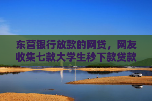 东营银行放款的网贷，网友收集七款大学生秒下款贷款口子6