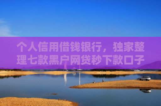 个人信用借钱银行，独家整理七款黑户网贷秒下款口子