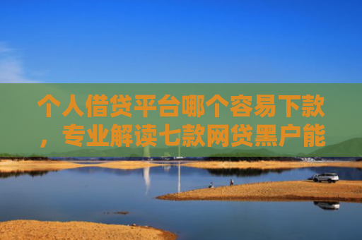 个人借贷平台哪个容易下款，专业解读七款网贷黑户能够下款