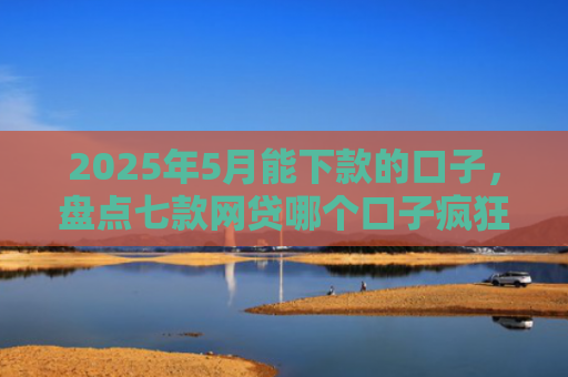 2025年5月能下款的口子，盘点七款网贷哪个口子疯狂下款