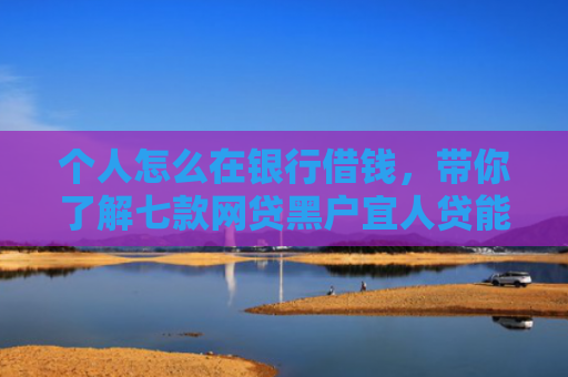 个人怎么在银行借钱，带你了解七款网贷黑户宜人贷能下款吗