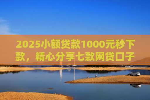 2025小额贷款1000元秒下款，精心分享七款网贷口子怎么填下款高