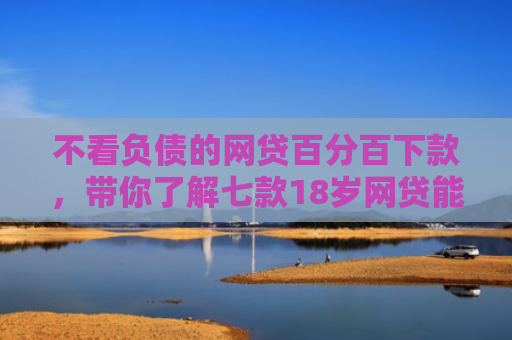 不看负债的网贷百分百下款，带你了解七款18岁网贷能下款的口子2025