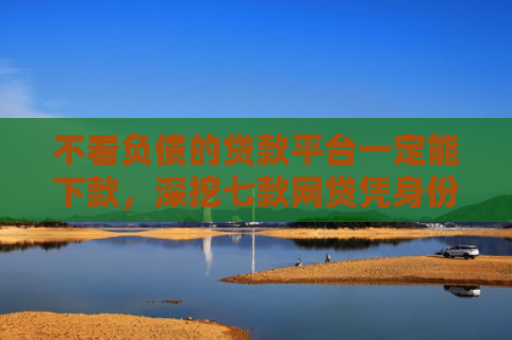 不看负债的贷款平台一定能下款，深挖七款网贷凭身份证下款的口子