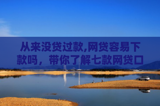 从来没贷过款,网贷容易下款吗，带你了解七款网贷口子好下款的平台有哪些