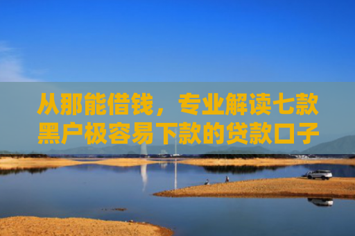 从那能借钱，专业解读七款黑户极容易下款的贷款口子