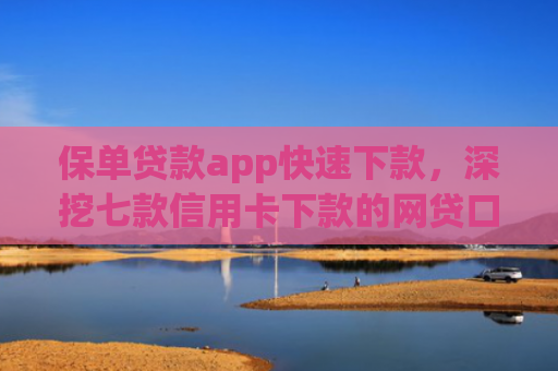 保单贷款app快速下款，深挖七款信用卡下款的网贷口子