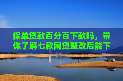 保单贷款百分百下款吗，带你了解七款网贷整改后能下款的口子
