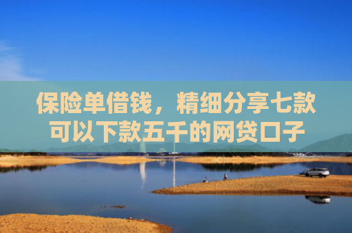 保险单借钱，精细分享七款可以下款五千的网贷口子