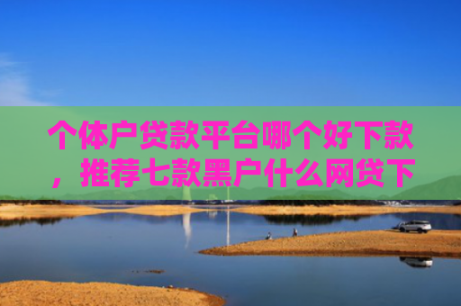 个体户贷款平台哪个好下款，推荐七款黑户什么网贷下款快