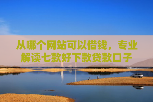 从哪个网站可以借钱，专业解读七款好下款贷款口子