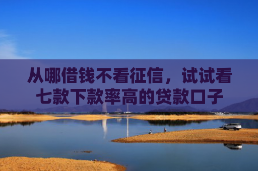 从哪借钱不看征信，试试看七款下款率高的贷款口子