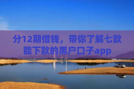 分12期借钱，带你了解七款能下款的黑户口子app