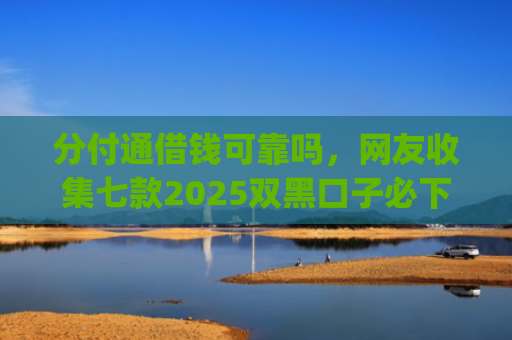 分付通借钱可靠吗，网友收集七款2025双黑口子必下款app