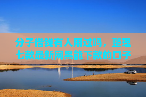 分子借钱有人用过吗，整理七款最新网黑能下款的口子app