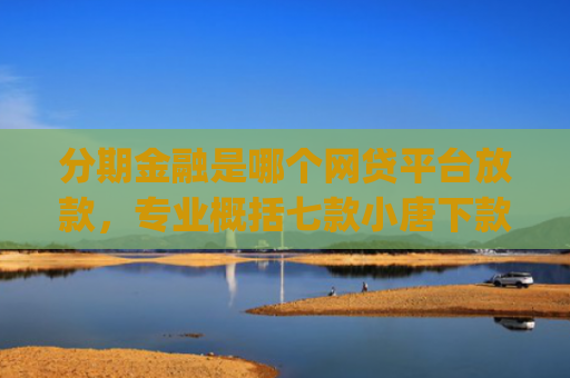 分期金融是哪个网贷平台放款，专业概括七款小唐下款王app里面的口子