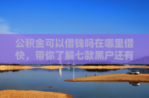 公积金可以借钱吗在哪里借快，带你了解七款黑户还有什么网贷下款