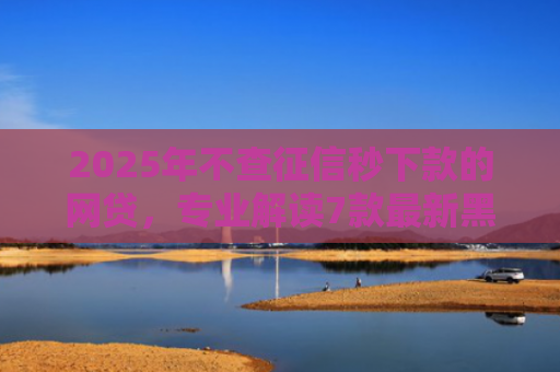 2025年不查征信秒下款的网贷，专业解读7款最新黑户网贷下款口子