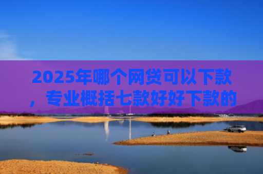 2025年哪个网贷可以下款，专业概括七款好好下款的网贷口子
