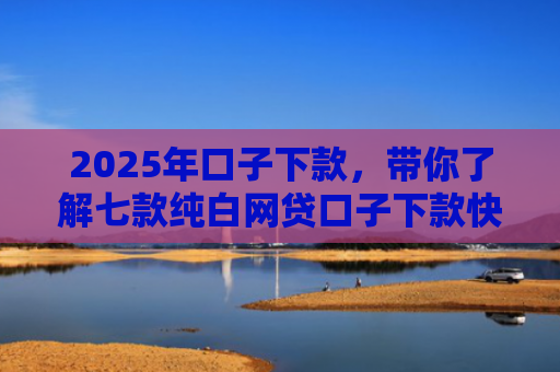 2025年口子下款，带你了解七款纯白网贷口子下款快