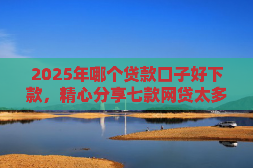 2025年哪个贷款口子好下款，精心分享七款网贷太多易下款口子