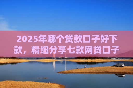 2025年哪个贷款口子好下款，精细分享七款网贷口子直接下款