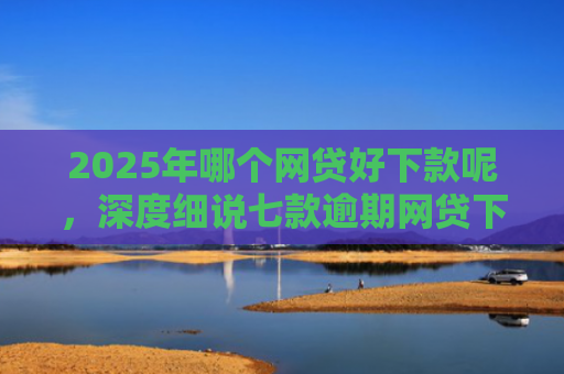 2025年哪个网贷好下款呢，深度细说七款逾期网贷下款的口子