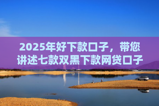 2025年好下款口子，带您讲述七款双黑下款网贷口子