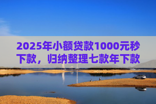 2025年小额贷款1000元秒下款，归纳整理七款年下款的网贷口子