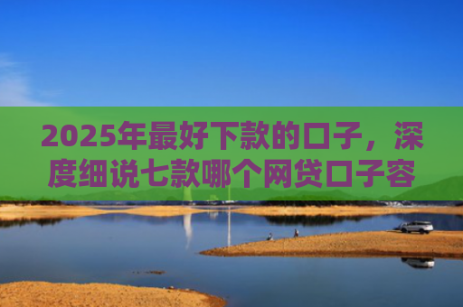 2025年最好下款的口子，深度细说七款哪个网贷口子容易下款