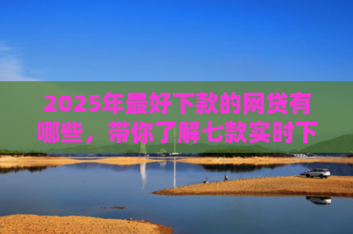2025年最好下款的网贷有哪些，带你了解七款实时下款网贷口子