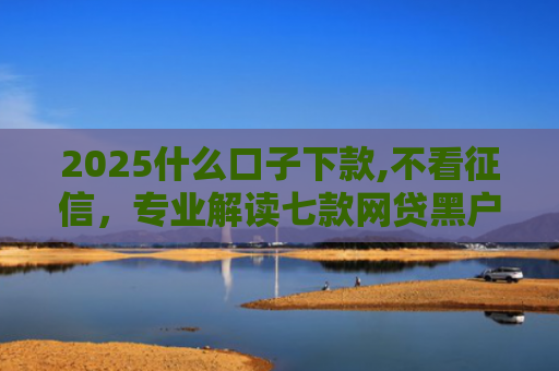 2025什么口子下款,不看征信，专业解读七款网贷黑户口子下款口子