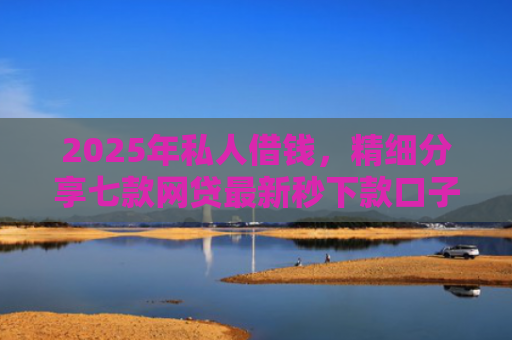 2025年私人借钱，精细分享七款网贷最新秒下款口子