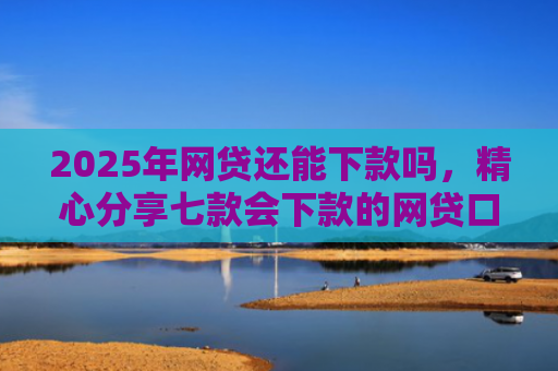 2025年网贷还能下款吗，精心分享七款会下款的网贷口子
